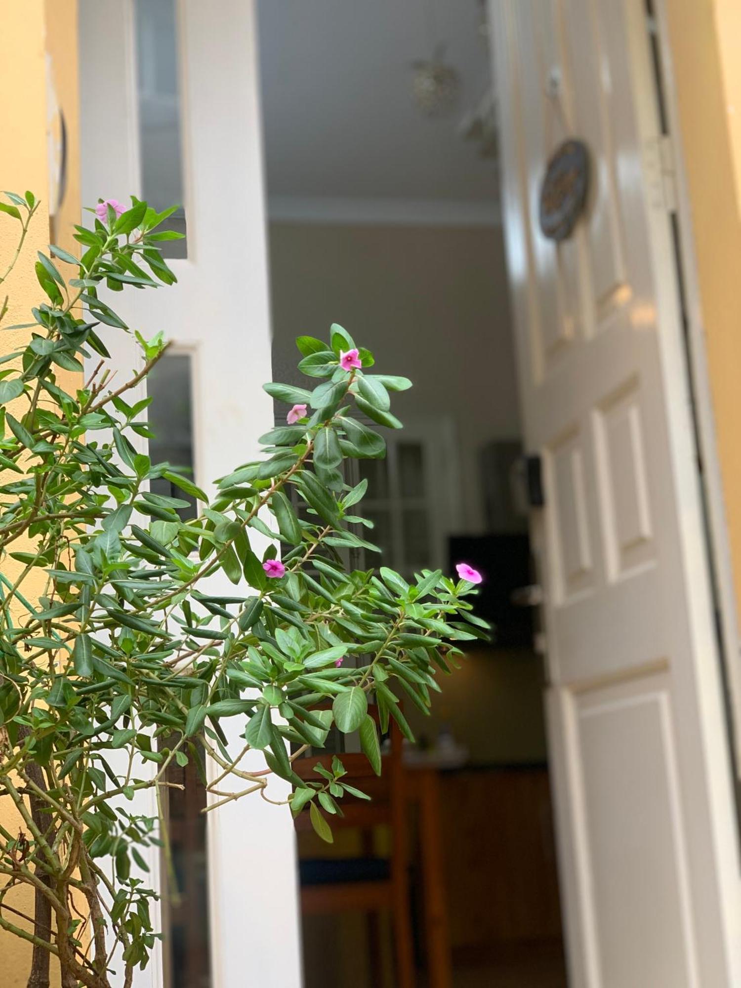 Charmcham House Apartment Hà Nội Ngoại thất bức ảnh