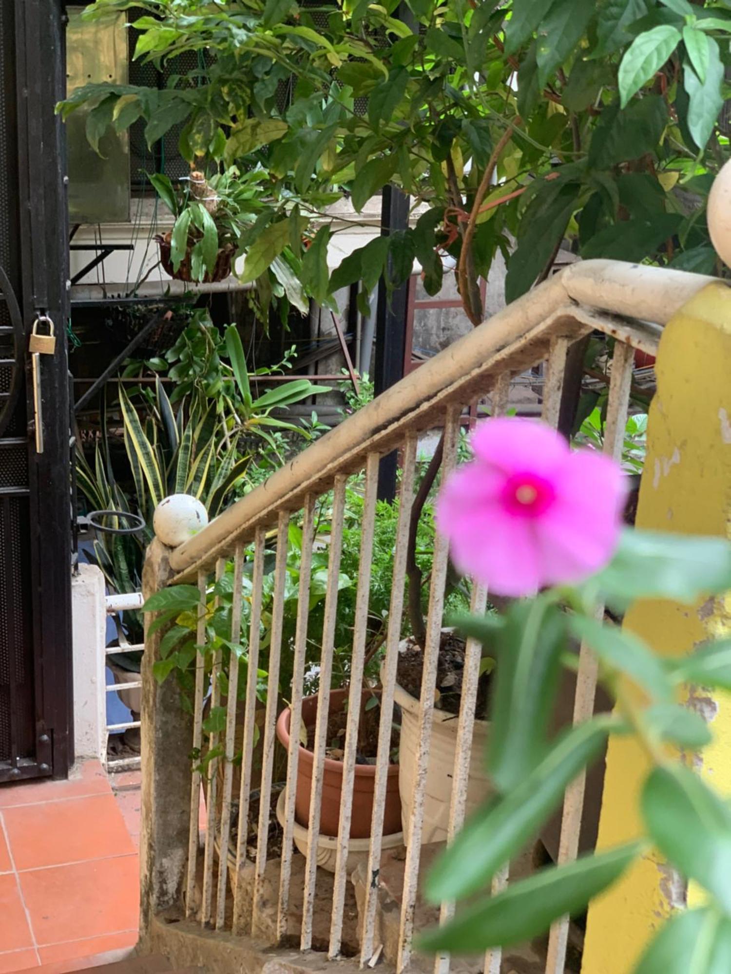 Charmcham House Apartment Hà Nội Ngoại thất bức ảnh