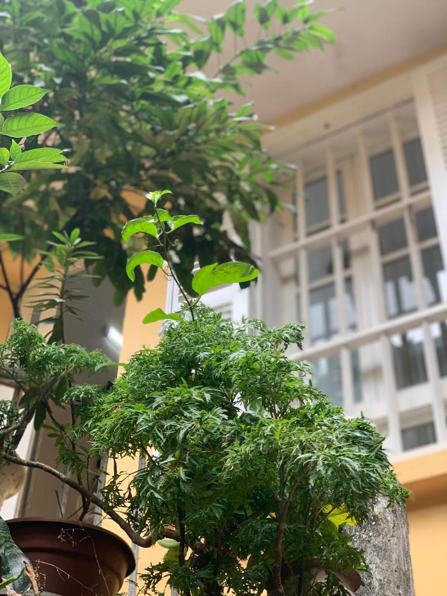 Charmcham House Apartment Hà Nội Ngoại thất bức ảnh